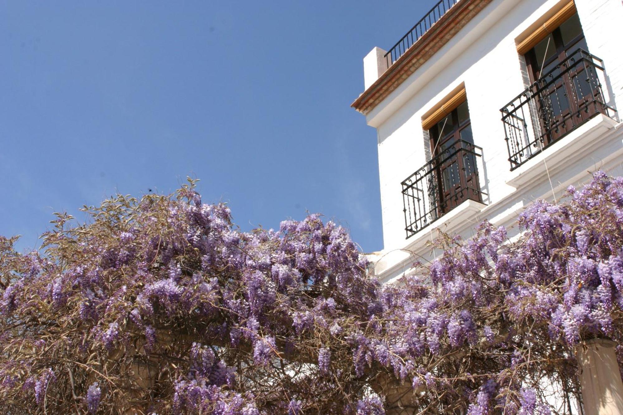 Carmen De La Alcubilla Del Caracol Hotel Granada Luaran gambar